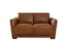 Picture of Oslo Modern Top Grain Leather Loveseat