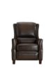 Picture of Moden Top Grain Push Back Recliner (Open Box)