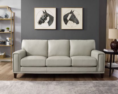 Picture of Hayward Modern Top Grain Leather Sofa (Open Box)