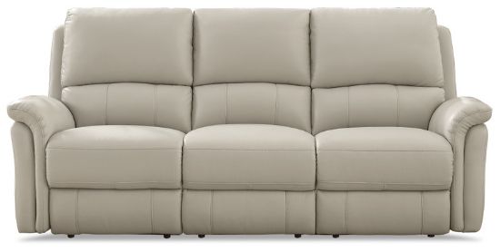 Picture of Tyler Top Grain Power  Reclining Sofa