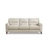 Picture of Tampa Modern Top Grain Leather Sofa (Open Box)