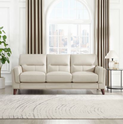 Picture of Tampa Modern Top Grain Leather Sofa (Open Box)