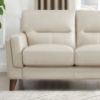Picture of Tampa Modern Top Grain Leather Loveseat