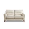 Picture of Tampa Modern Top Grain Leather Loveseat