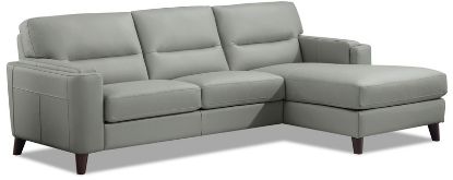 Picture of Miami Top Grain Leather Sectional Collection
