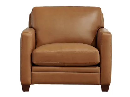 Picture of Como Top grain leather Accent Chair