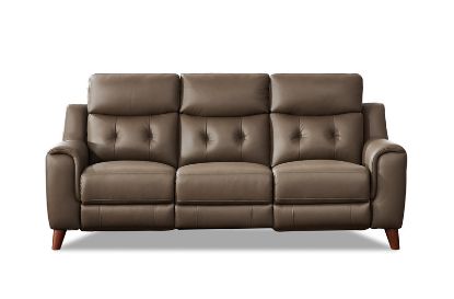 Picture of Paramount Top Grain Leather Collection