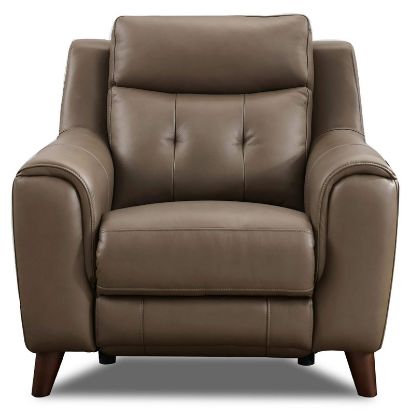 Picture of Paramount Top Grain Leather Collection